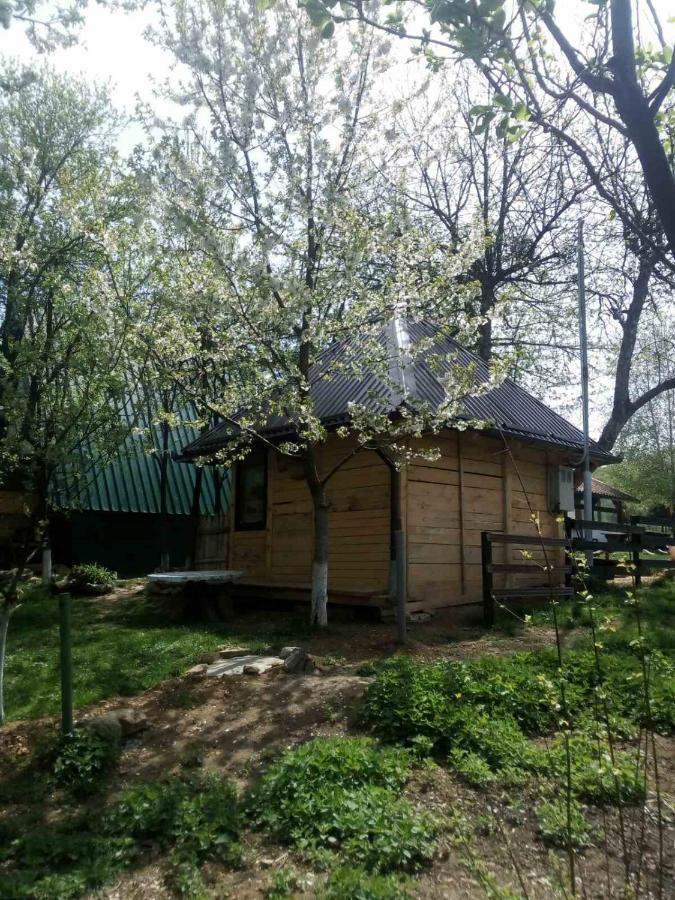 Bungalows Old Town Visoko Bagian luar foto